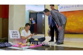 轮台收账公司排名前十名：揭秘行业翘楚，助力企业追回欠款