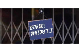 马来西亚大使馆讨债：揭秘海外债务处理之道