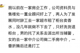 茶杯犬怎么讨债的? 茶杯犬怎么讨债的?