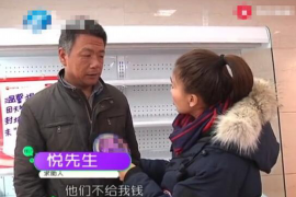 铁力清数公司哪里找？揭秘高效数据处理专家