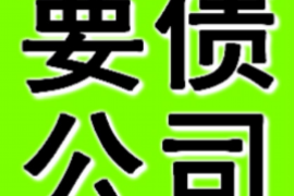 鞍山铁西区讨债律师：专业法律支持，助您高效追回债务