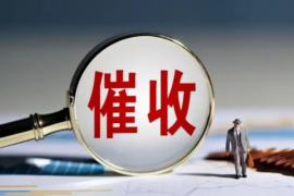 银行催收员的实习体会